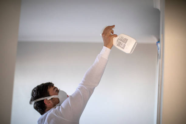 Best Toxic Mold Removal  in Uhland, TX
