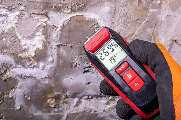 Certified Mold Removal in Uhland, TX