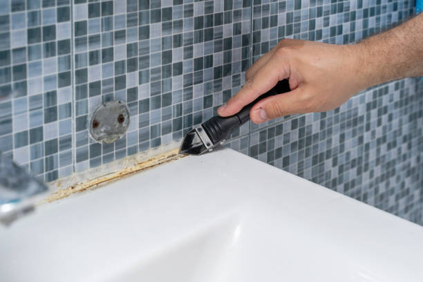  Uhland, TX Mold Removal Pros